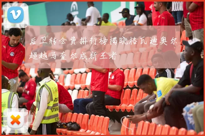 后卫转会费排行榜揭晓格瓦迪奥尔超越马奎尔成新王者