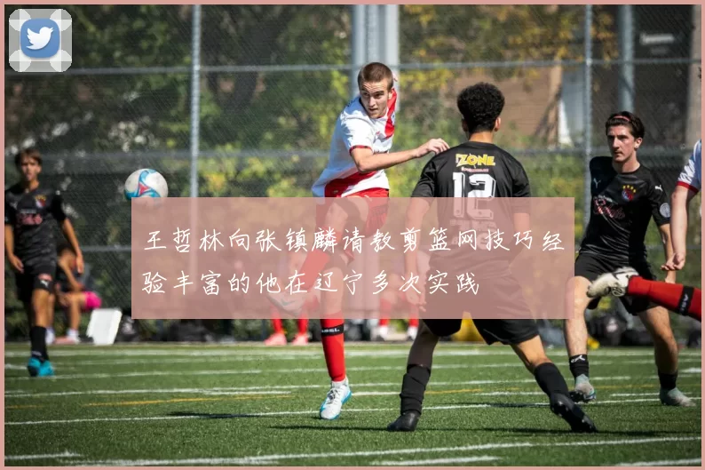 王哲林向张镇麟请教剪篮网技巧经验丰富的他在辽宁多次实践