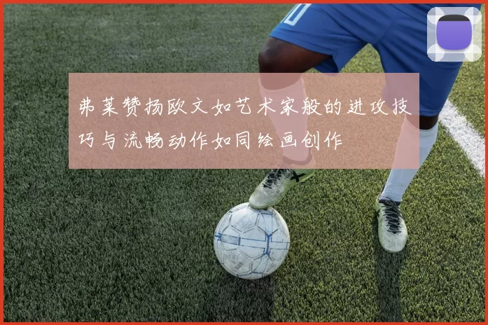 弗莱赞扬欧文如艺术家般的进攻技巧与流畅动作如同绘画创作