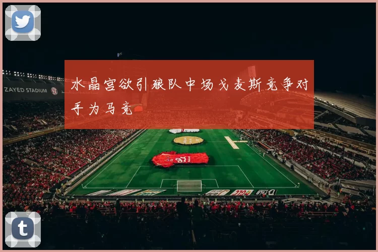 水晶宫欲引狼队中场戈麦斯竞争对手为马竞